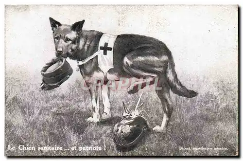 Cartes postales Fantaisie Illustrateur Militaria Le chien sanitaire et patriote Croix Rouge