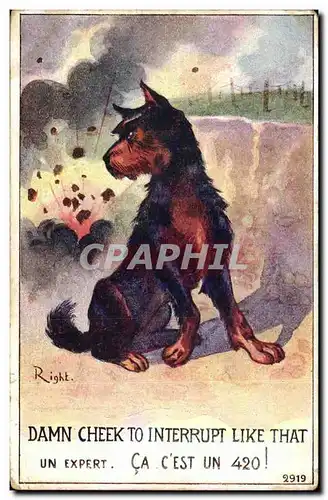 Cartes postales Fantaisie Illustrateur Militaria Chien Un expert