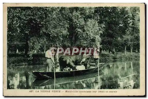 Cartes postales Folklore La Venise verte Maraichins conduisant leur betail au marais