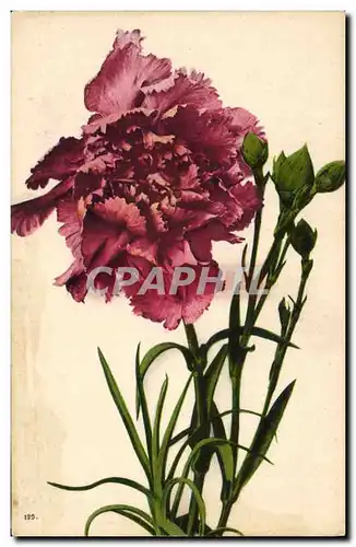 Cartes postales Fantaisie Fleurs