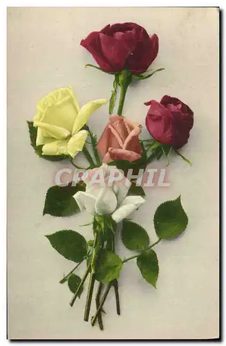 Cartes postales Fantaisie Fleurs