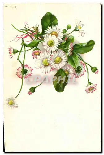 Cartes postales Fantaisie Fleurs