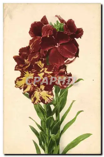 Cartes postales Fantaisie Fleurs