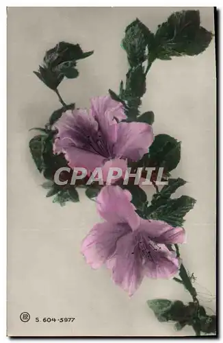 Cartes postales Fantaisie Fleurs