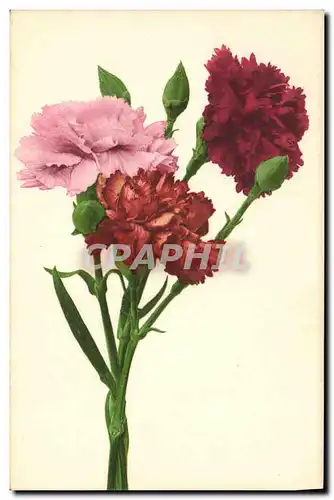 Cartes postales Fantaisie Fleurs