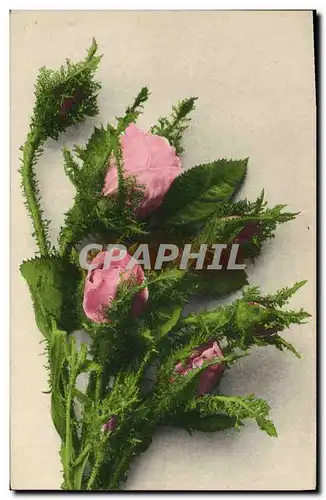 Cartes postales Fantaisie Fleurs