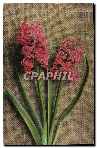 Cartes postales Fantaisie Fleurs