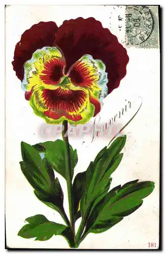 Cartes postales Fantaisie Fleurs