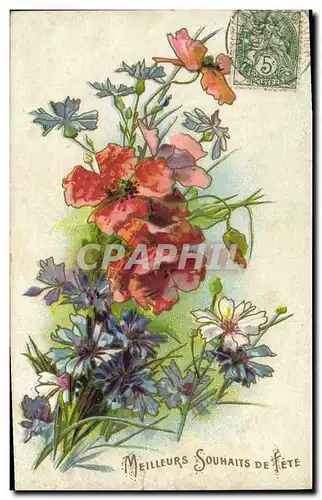 Cartes postales Fantaisie Fleurs