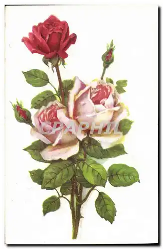 Cartes postales Fantaisie Fleurs