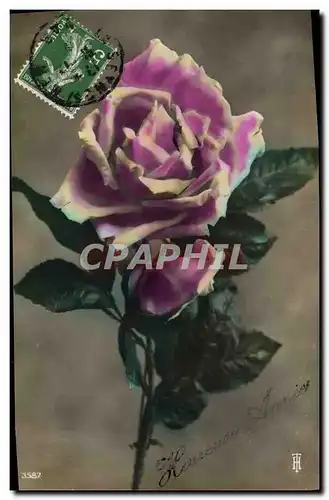 Cartes postales Fantaisie Fleurs