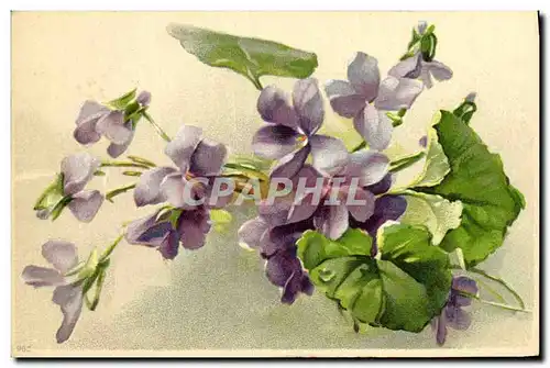 Cartes postales Fantaisie Fleurs