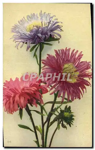 Cartes postales Fantaisie Fleurs