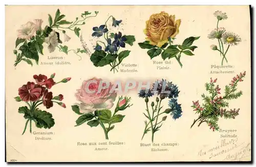 Cartes postales Fantaisie Fleurs