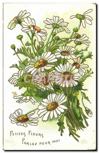 Cartes postales Fantaisie Fleurs