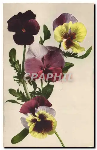 Cartes postales Fantaisie Fleurs