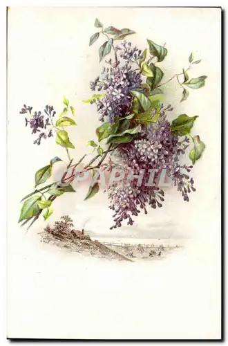 Cartes postales Fantaisie Fleurs