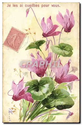 Cartes postales Fantaisie Fleurs