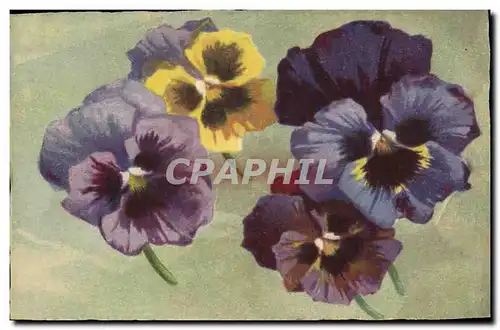 Cartes postales Fantaisie Fleurs