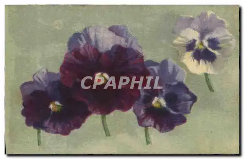 Cartes postales Fantaisie Fleurs