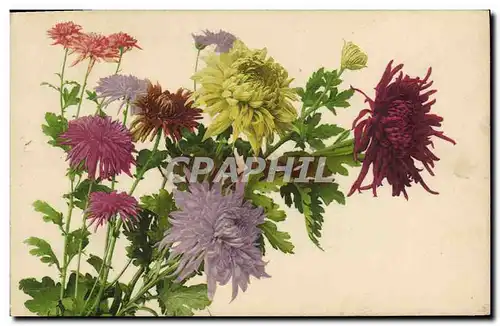 Cartes postales Fantaisie Fleurs