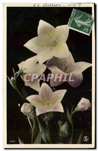 Cartes postales Fantaisie Fleurs