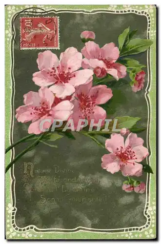 Cartes postales Fantaisie Fleurs