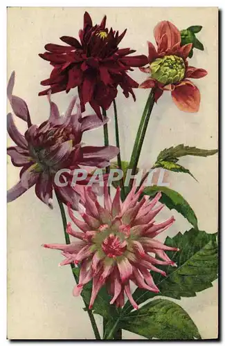 Cartes postales Fantaisie Fleurs