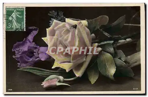 Cartes postales Fantaisie Fleurs