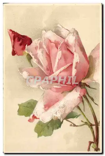 Cartes postales Fantaisie Fleurs