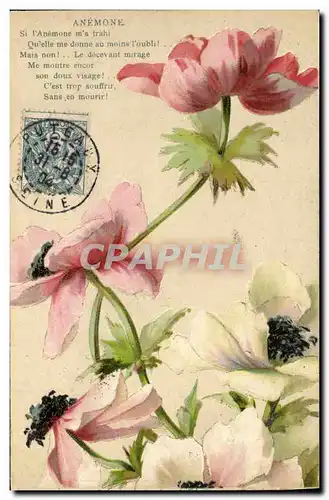 Cartes postales Fantaisie Fleurs Anemone