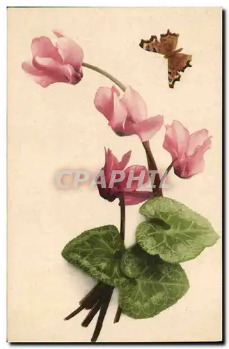 Cartes postales Fantaisie Fleurs Papillon