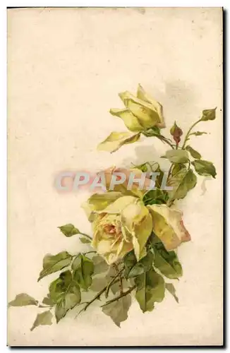 Vintage Postcard Fantasy Flowers�