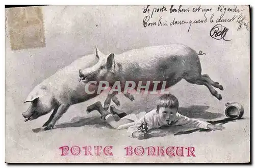 Ansichtskarte AK Cochon Porc Enfant Porte bonheur