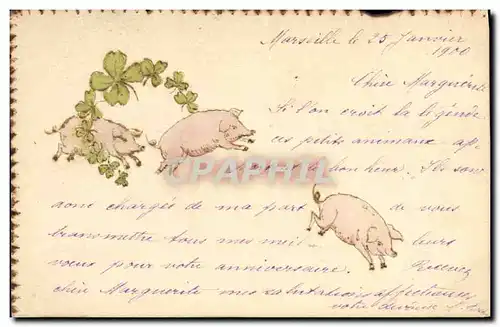 Cartes postales Cochon Porc