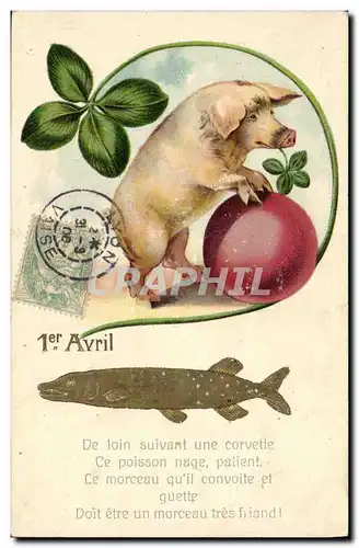 Ansichtskarte AK Cochon Porc Poisson 1er Avril