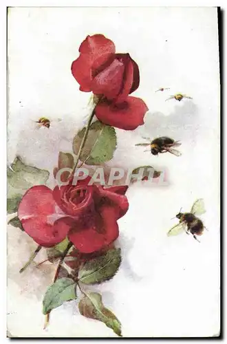 Cartes postales Fantaisie Fleurs