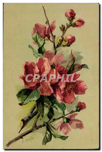 Cartes postales Fantaisie Fleurs