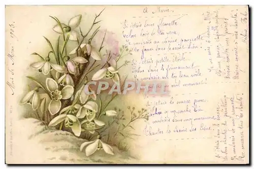 Cartes postales Fantaisie Fleurs