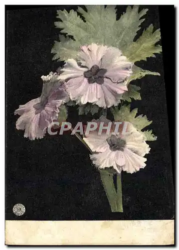 Cartes postales Fantaisie Fleurs