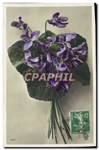 Cartes postales Fantaisie Fleurs