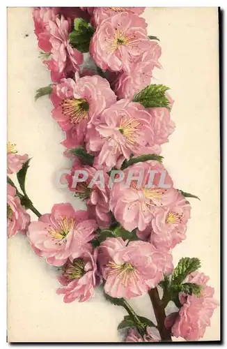 Cartes postales Fantaisie Fleurs