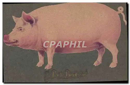 Ansichtskarte AK Cochon Porc Porte bonheur