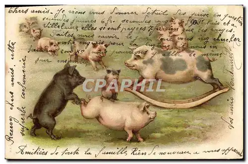 Cartes postales Cochon Porc
