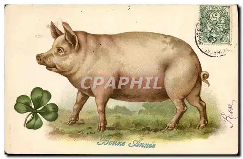 Cartes postales Cochon Porc Trefle