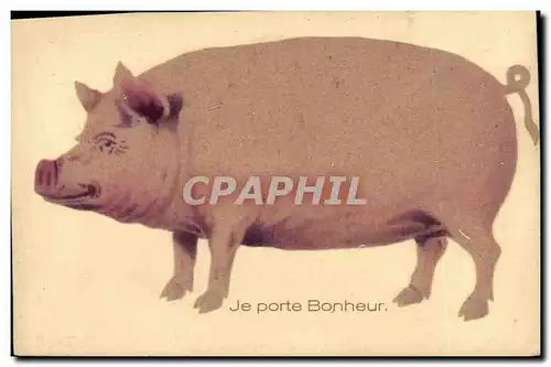 Ansichtskarte AK Cochon Porc (en feutrine)