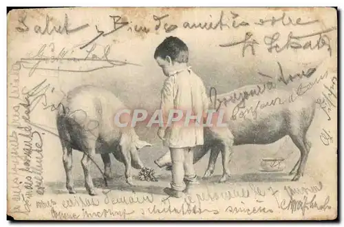 Cartes postales Cochon Porc Enfant