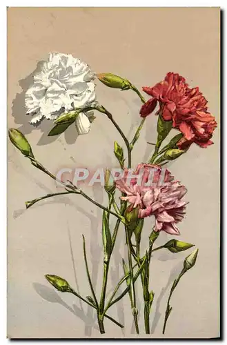 Cartes postales Fantaisie Fleurs