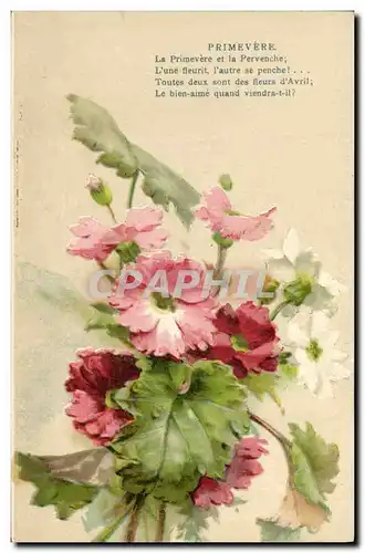 Cartes postales Fantaisie Fleurs Primevere