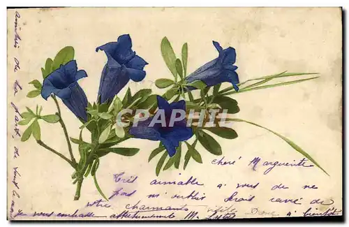 Cartes postales Fantaisie Fleurs